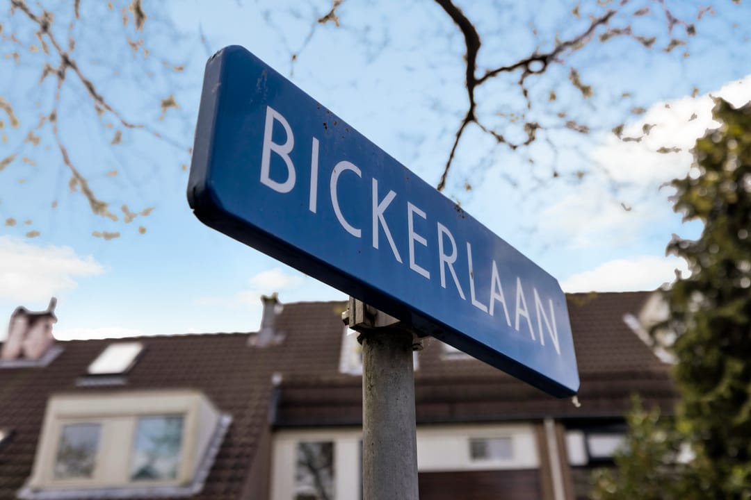 Foto 7 van Bickerlaan 78