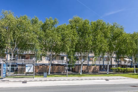 J.M. den Uylstraat thumbnail