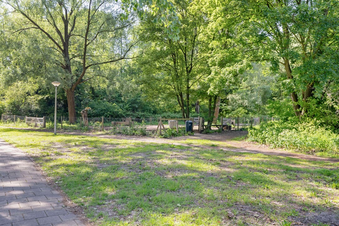 Photo 43 of Tarwekamp 8