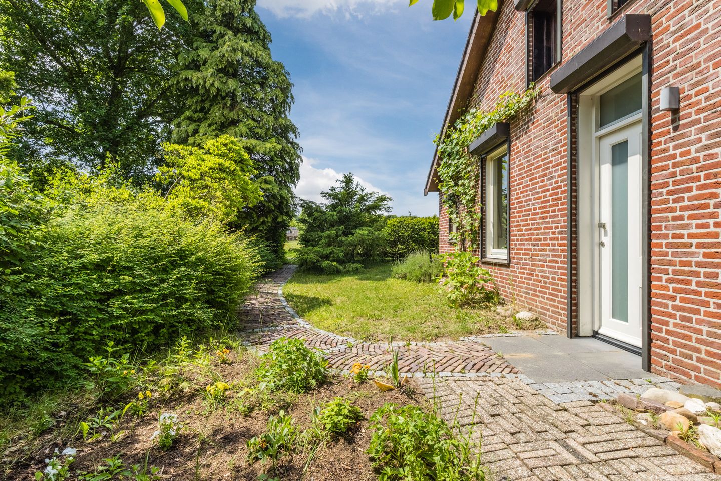 Foto 5 van Korenveld 1