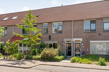 Radenlaan thumbnail