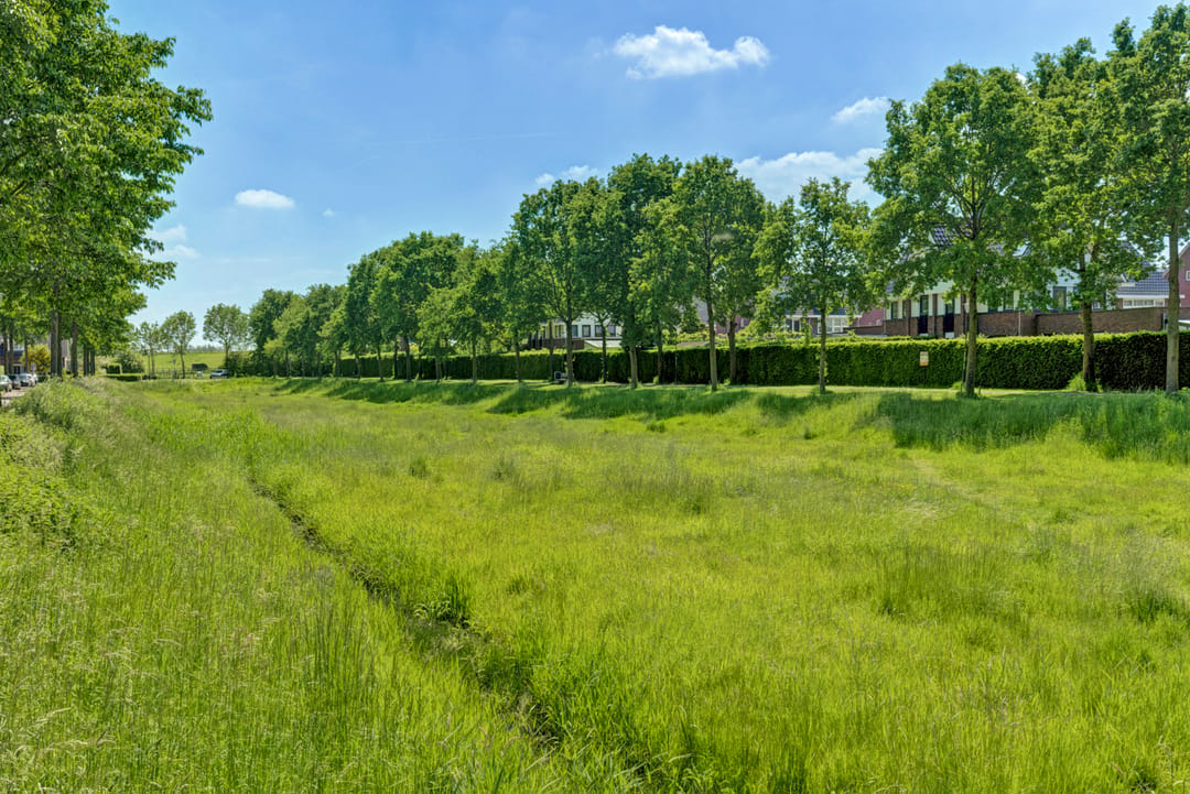 Photo 32 of Leidijk 29