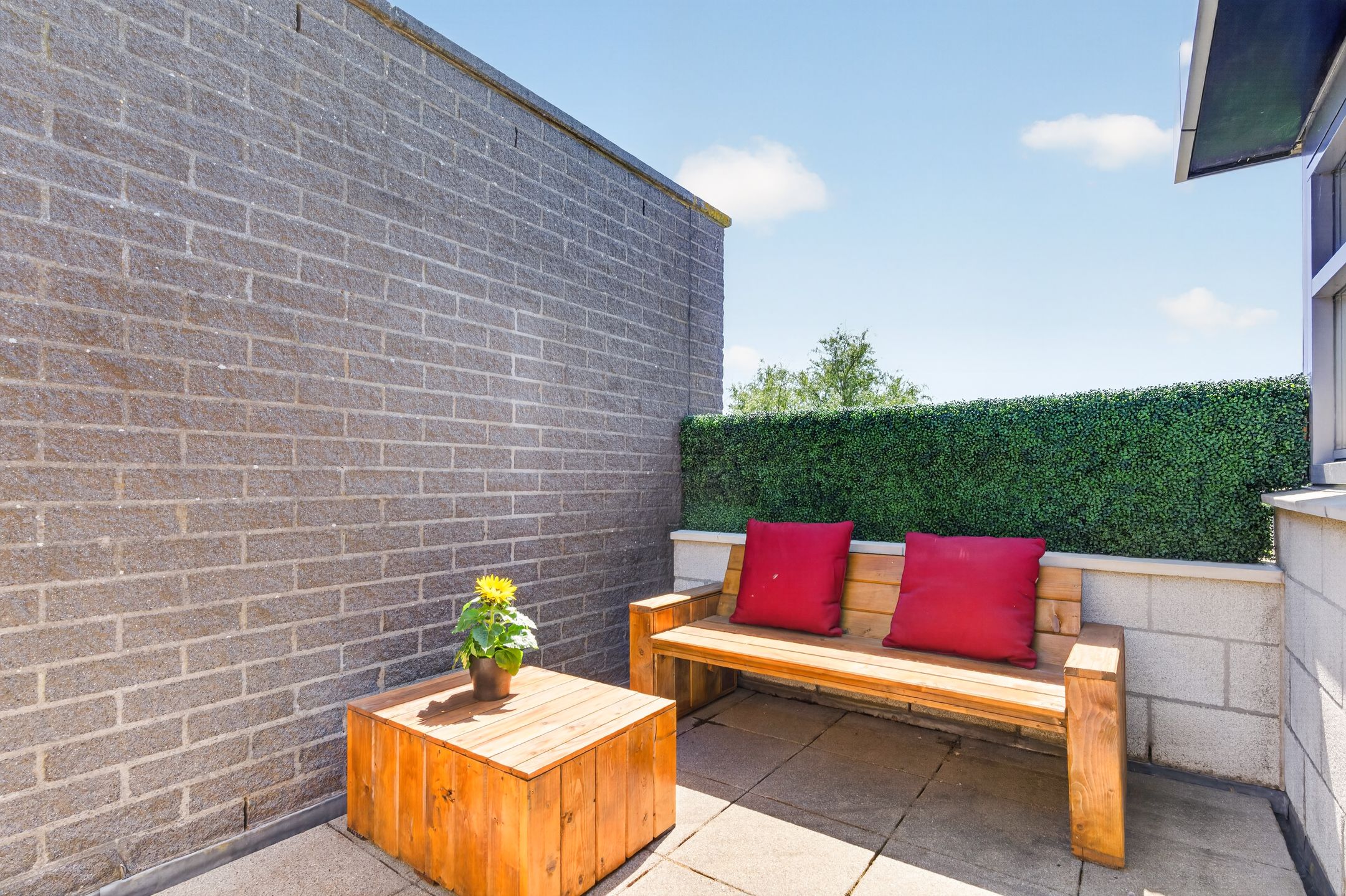 Foto 39 van Monte Viso 29