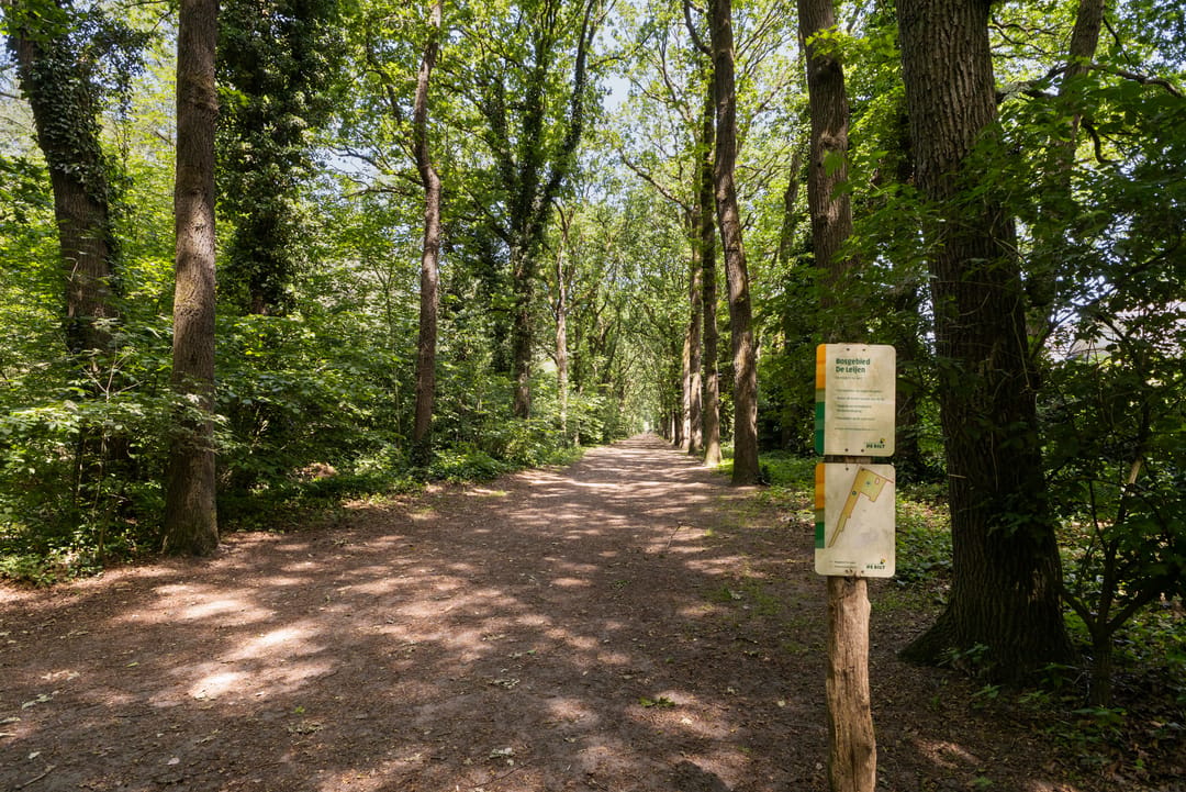 Foto 46 van Iepenlaan 95