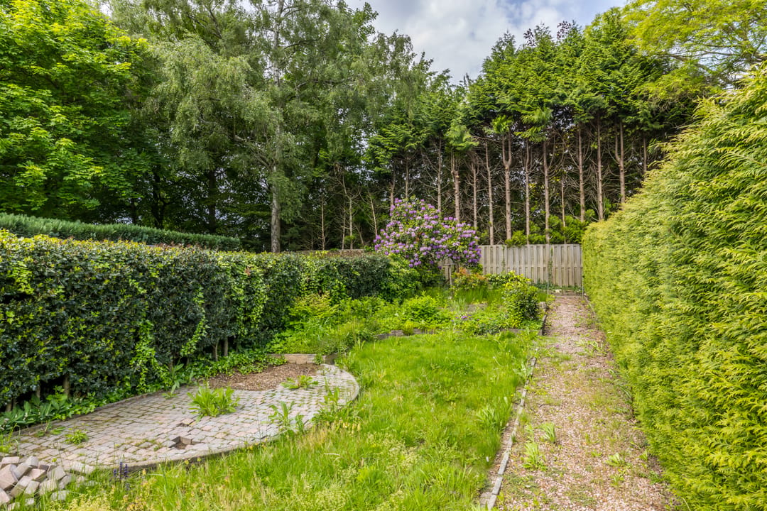 Photo 22 of Irenestraat 18