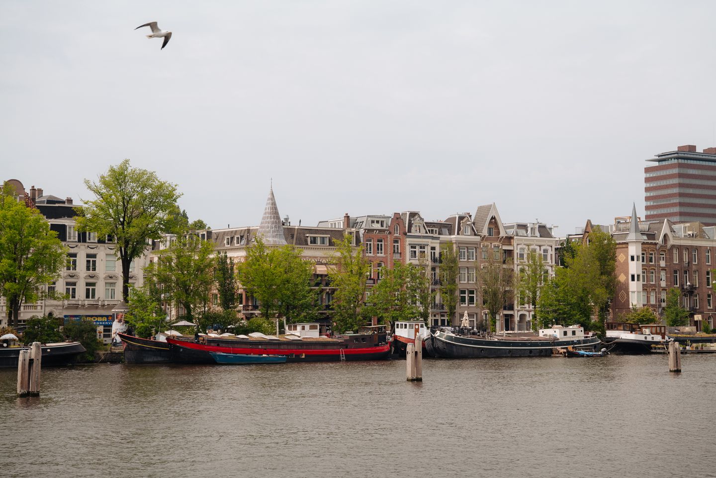 Foto 49 van Ruyschstraat 18-H
