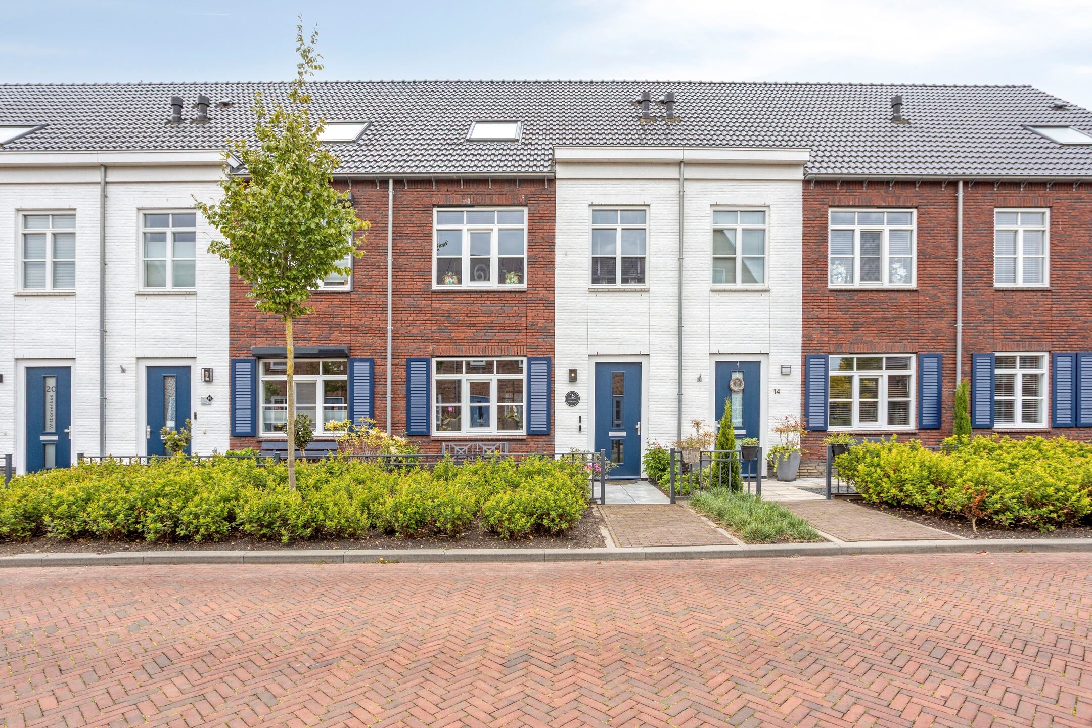 Witbomenbos 16 