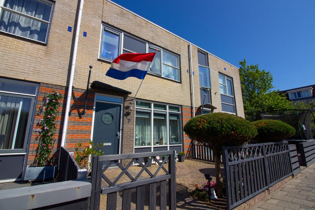 Foto 7 van Draak 7