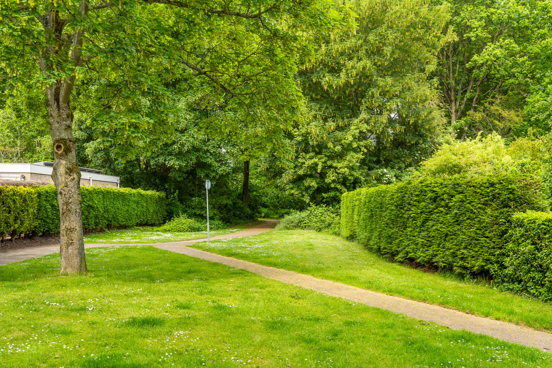 Spacious Family Home with Deep Garden Near Westerpark — 52