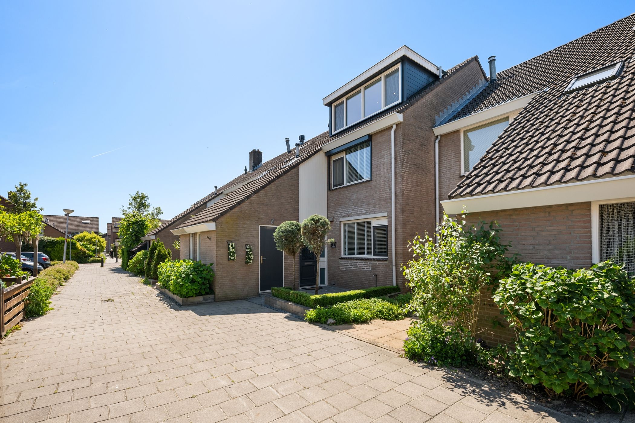 Schijfmos 21 