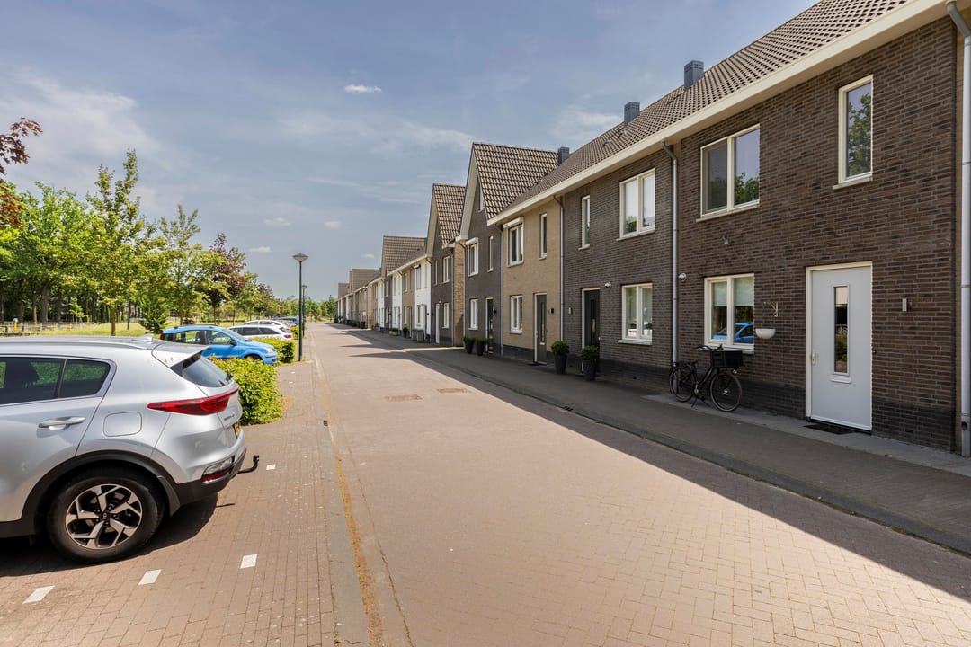Foto 7 van Honingbij 26