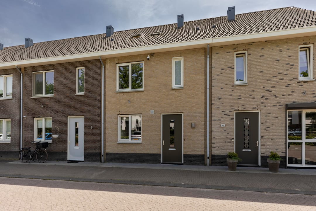 Foto 1 van Honingbij 26