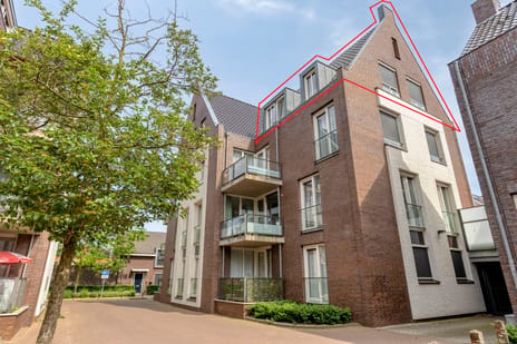 Peellandstraat thumbnail