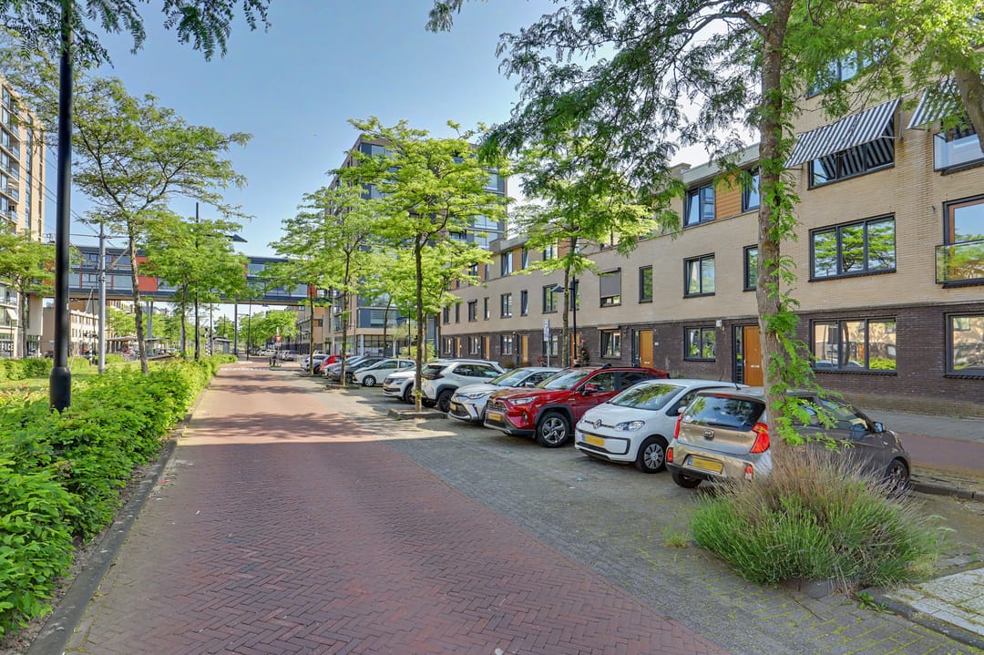Photo 8 of Avenue Carré 182