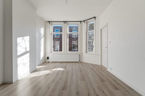 Van Loostraat thumbnail