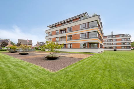 Burgemeester Hoefnagelstraat thumbnail