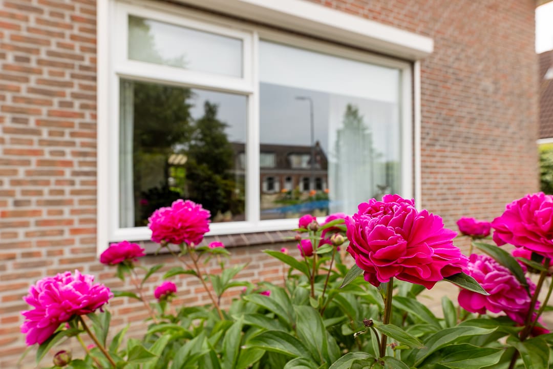 Photo 32 of Middelburgsestraat 86