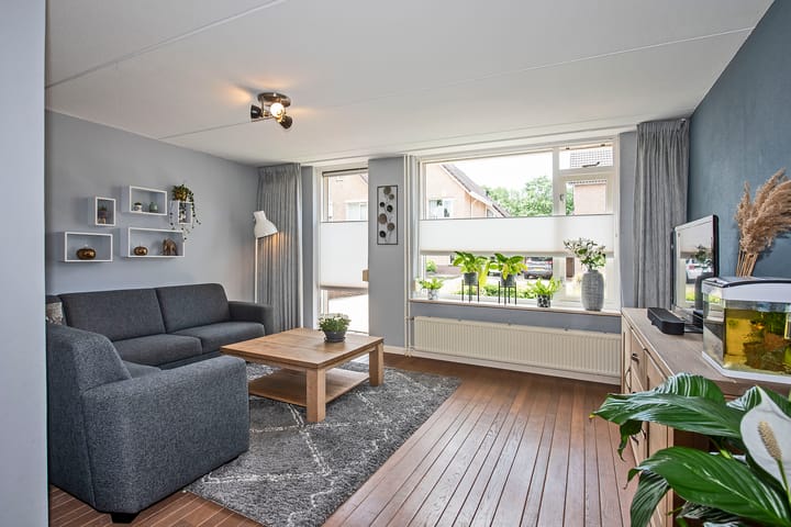 Foto 5 van Wulp 51