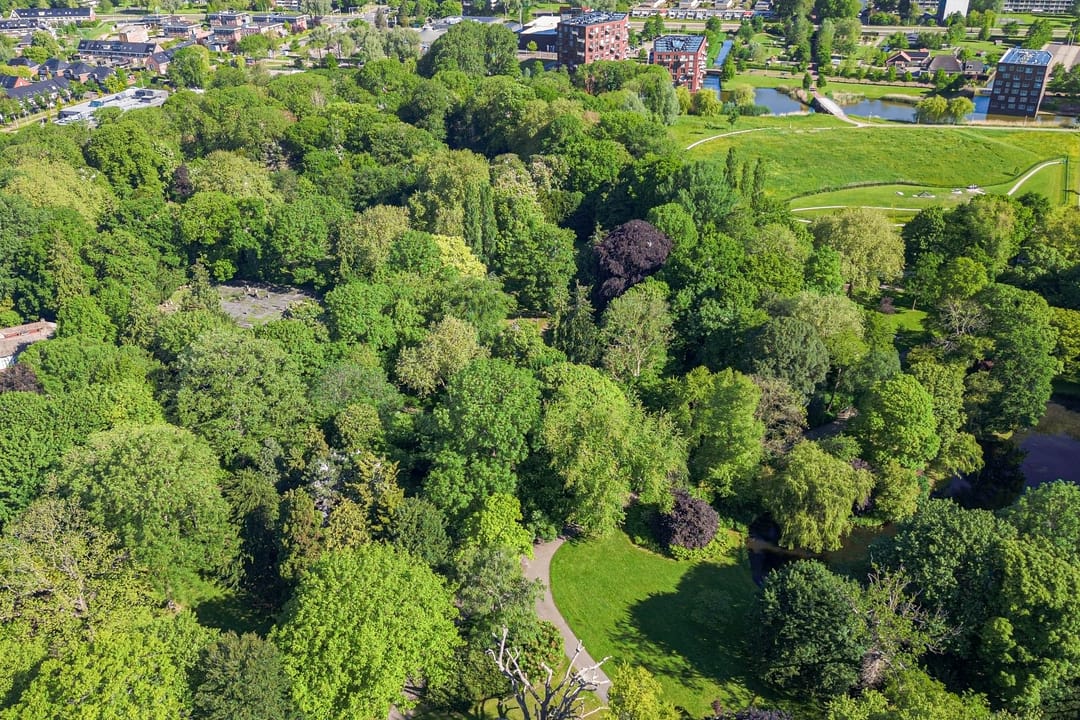 Foto 56 van Spanjaardslaan 47