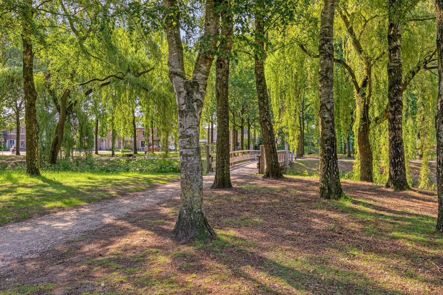 Foto 44 van Gronsveldlaan 39
