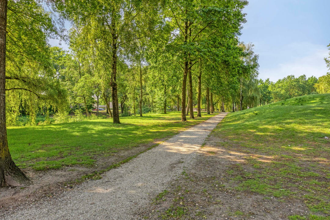 Foto 41 van Gronsveldlaan 39
