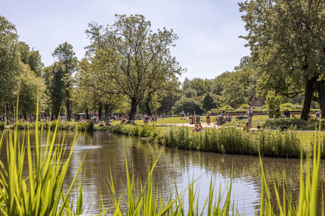 Foto 47 van Zandpad 3-A1