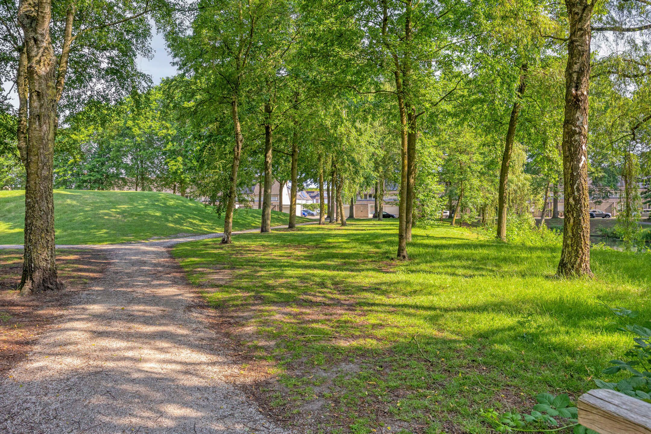 Foto 45 van Gronsveldlaan 39