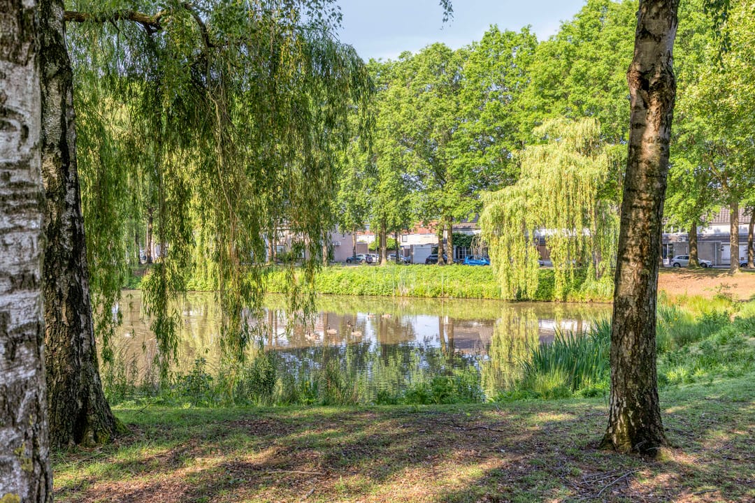 Foto 46 van Gronsveldlaan 39