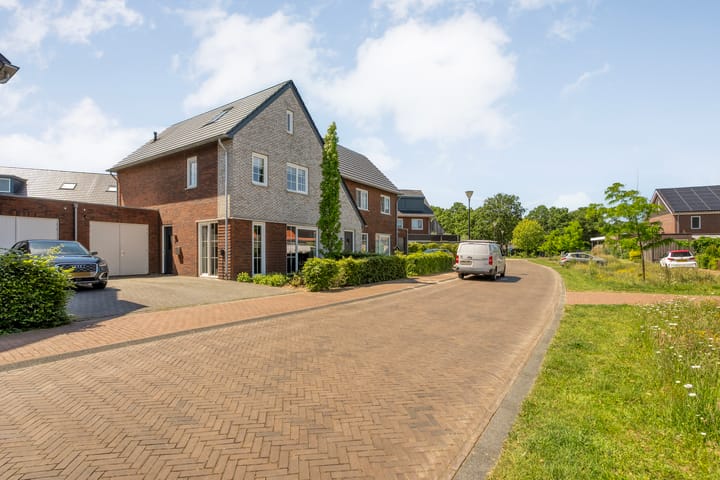 Foto 5 van Hamerbijl 4