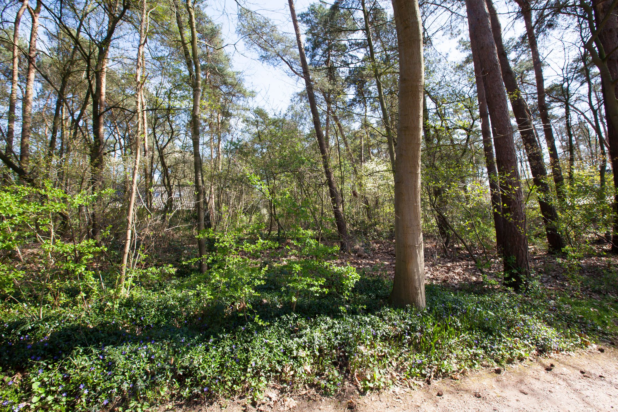 Photo 6 of Kattenbergweg 1-144
