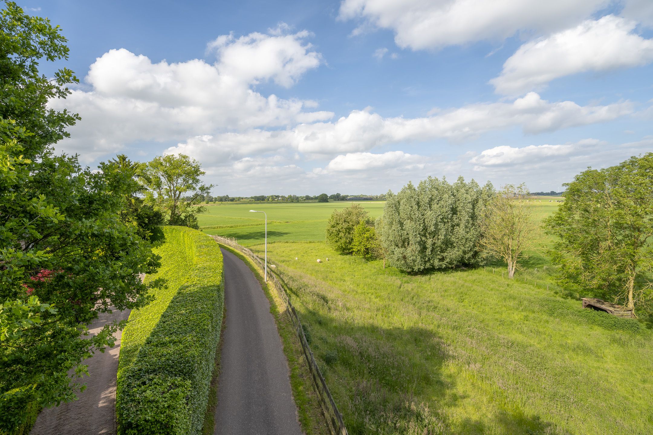Foto 42 van Hoge Maasdijk 13