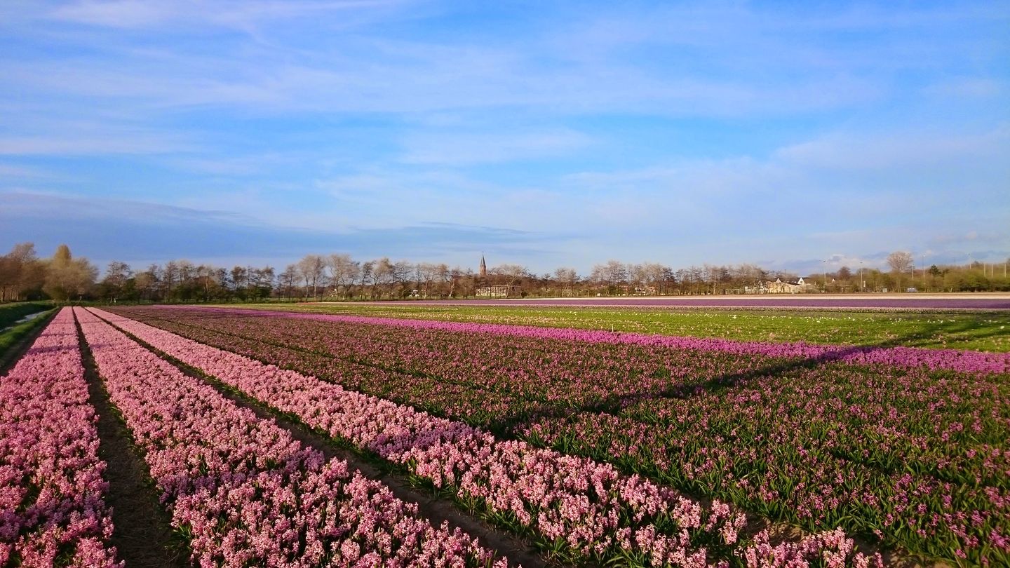 Photo 40 of Teylingerweg 123