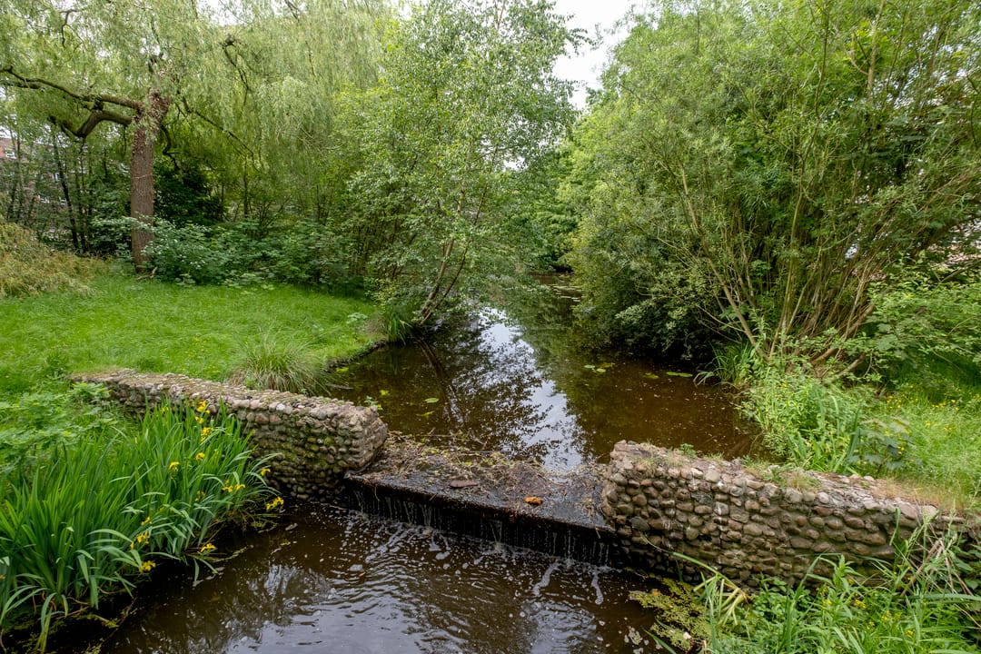 Photo 47 of Epe 8