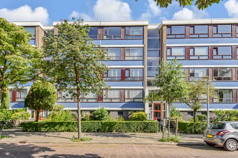 Willem Pijperstraat thumbnail
