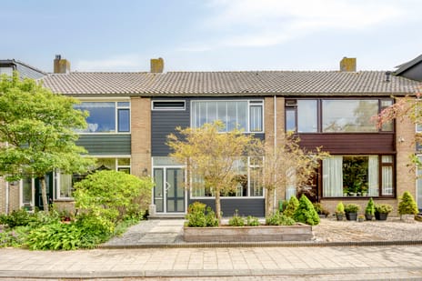Korenbloemstraat thumbnail