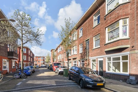Jan ten Brinkstraat thumbnail