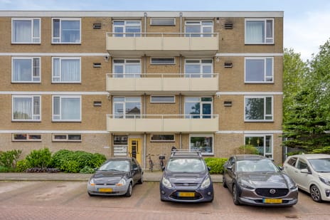 Cederstraat thumbnail