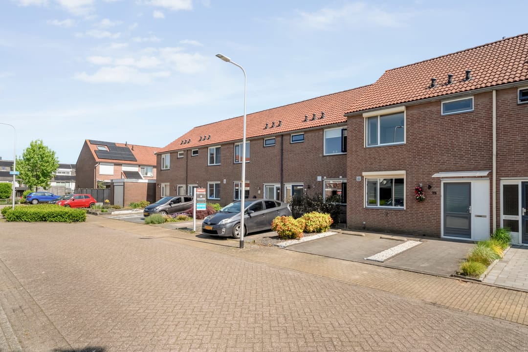 Foto 41 van Lijster 75