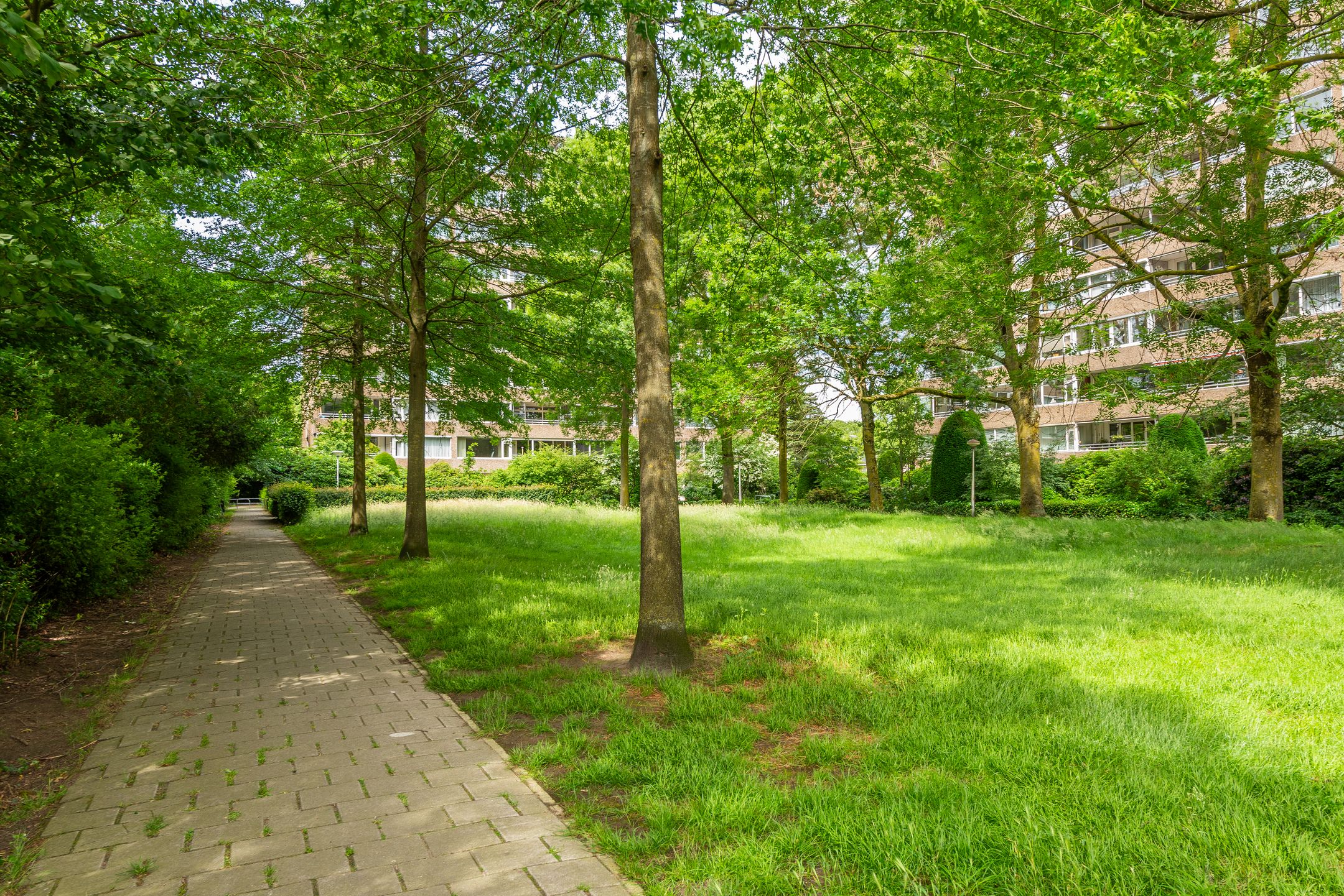 Foto 54 van Venuslaan 359-A