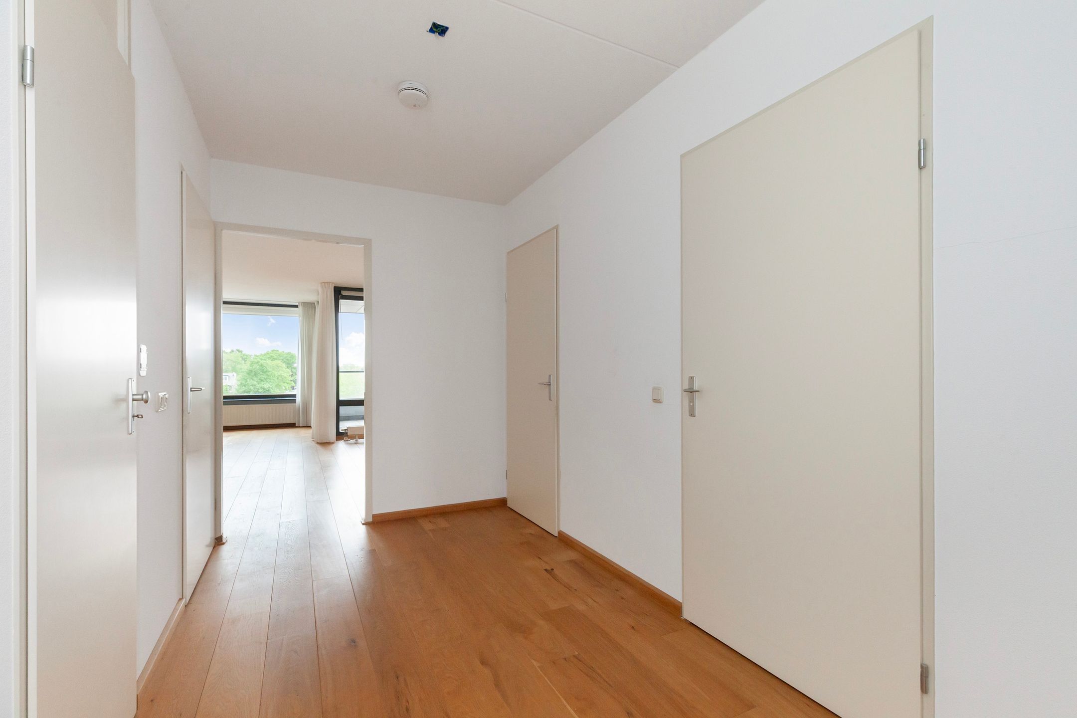 Photo 12 of Ommevoort 330