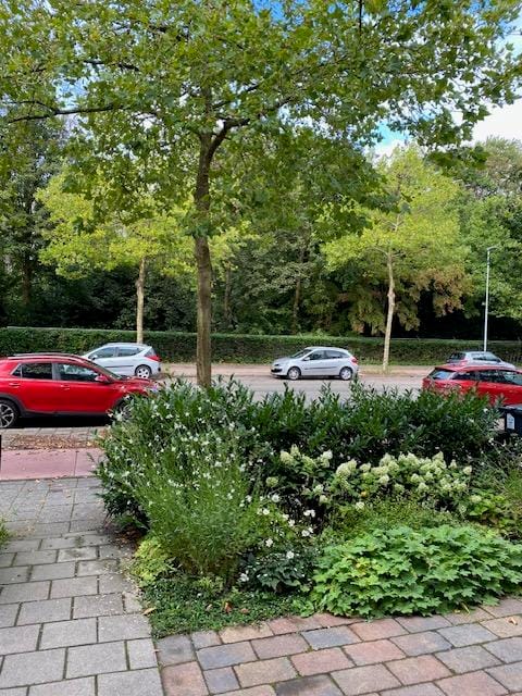 Foto 16 van Schoterweg 164-ZW