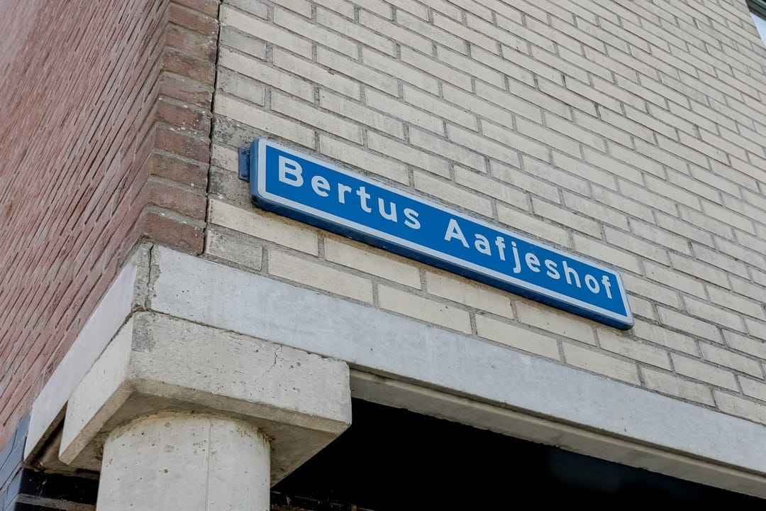 Photo 46 of Bertus Aafjeshof 169
