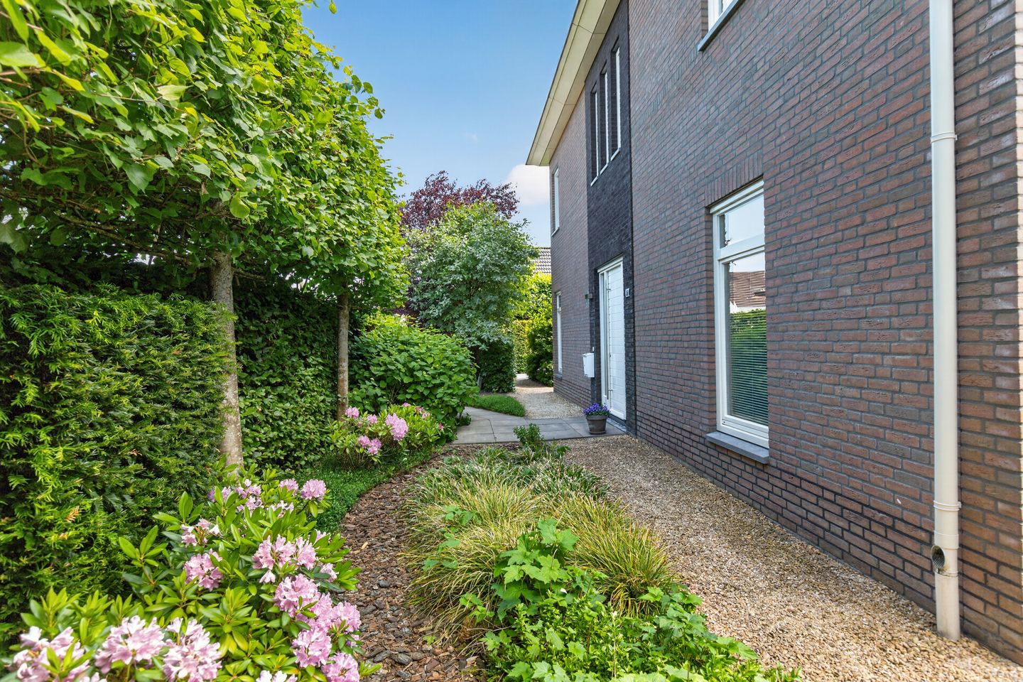 Photo 5 of Polkastraat 39