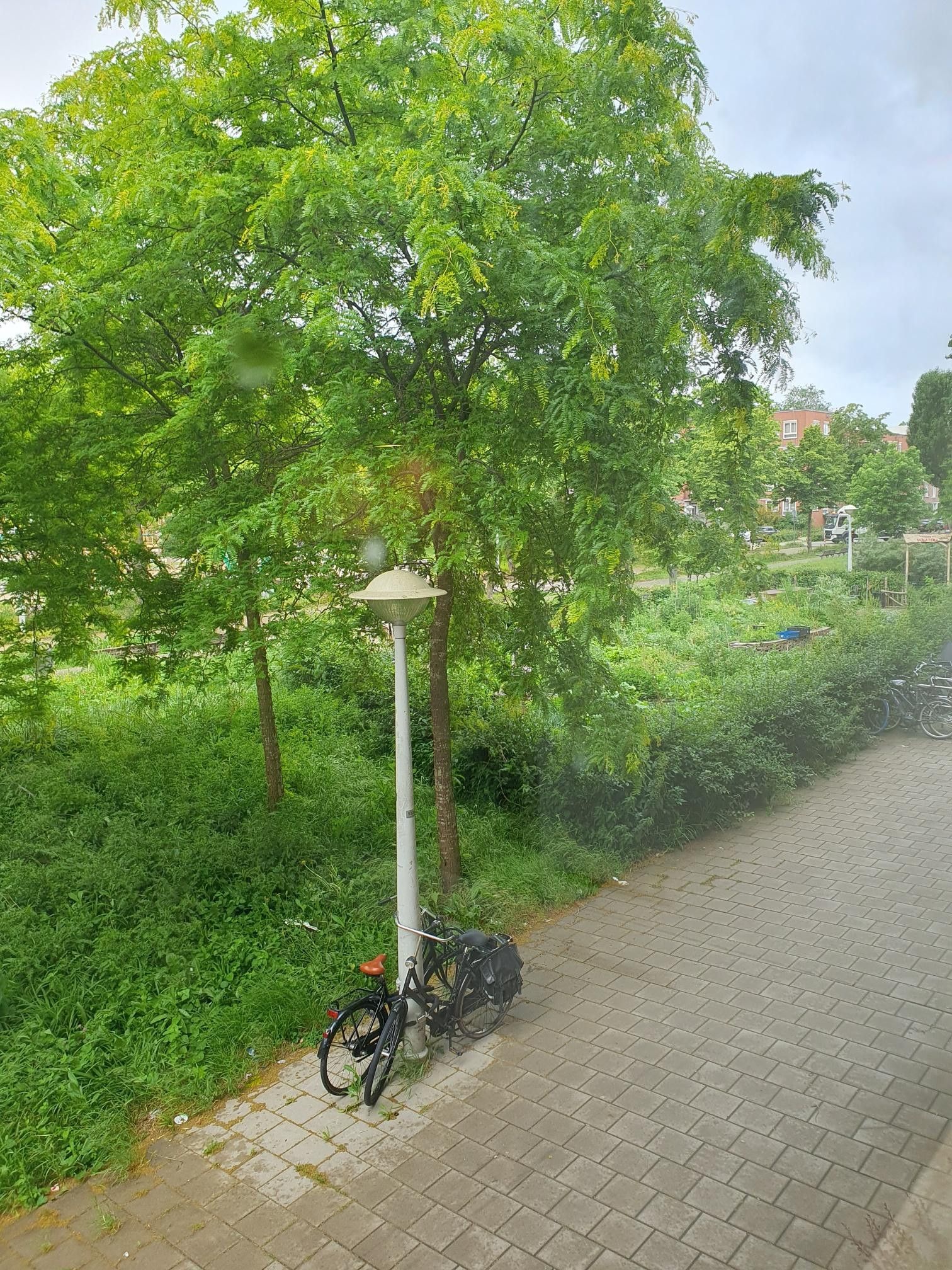Photo 15 of Preangerstraat 74