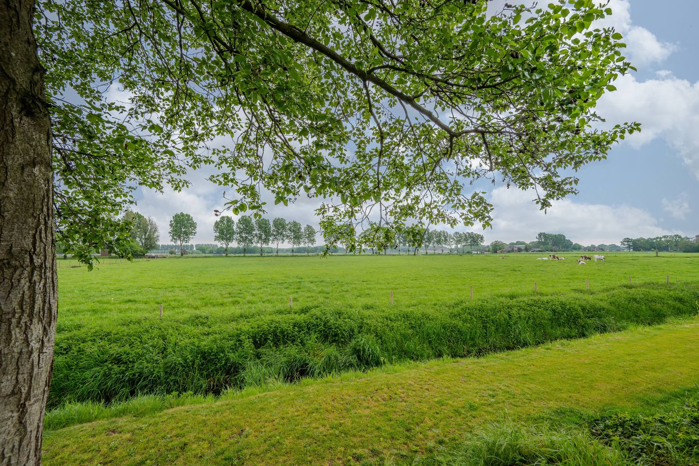 Photo 50 of Pascherhof 24