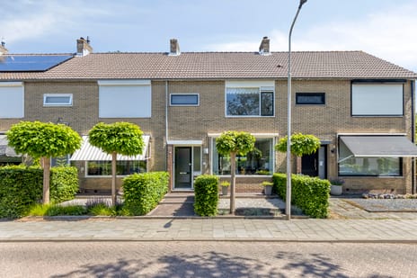 Wilhelminastraat thumbnail
