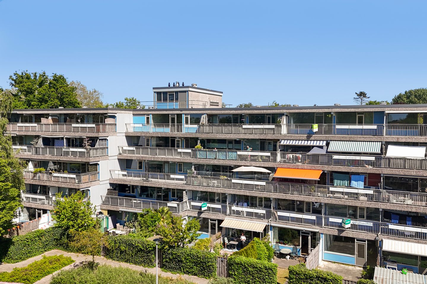 Photo 19 of Dubbelhof 114