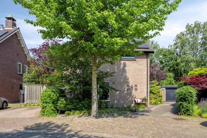 Foto 4 van De Goudplevier 5