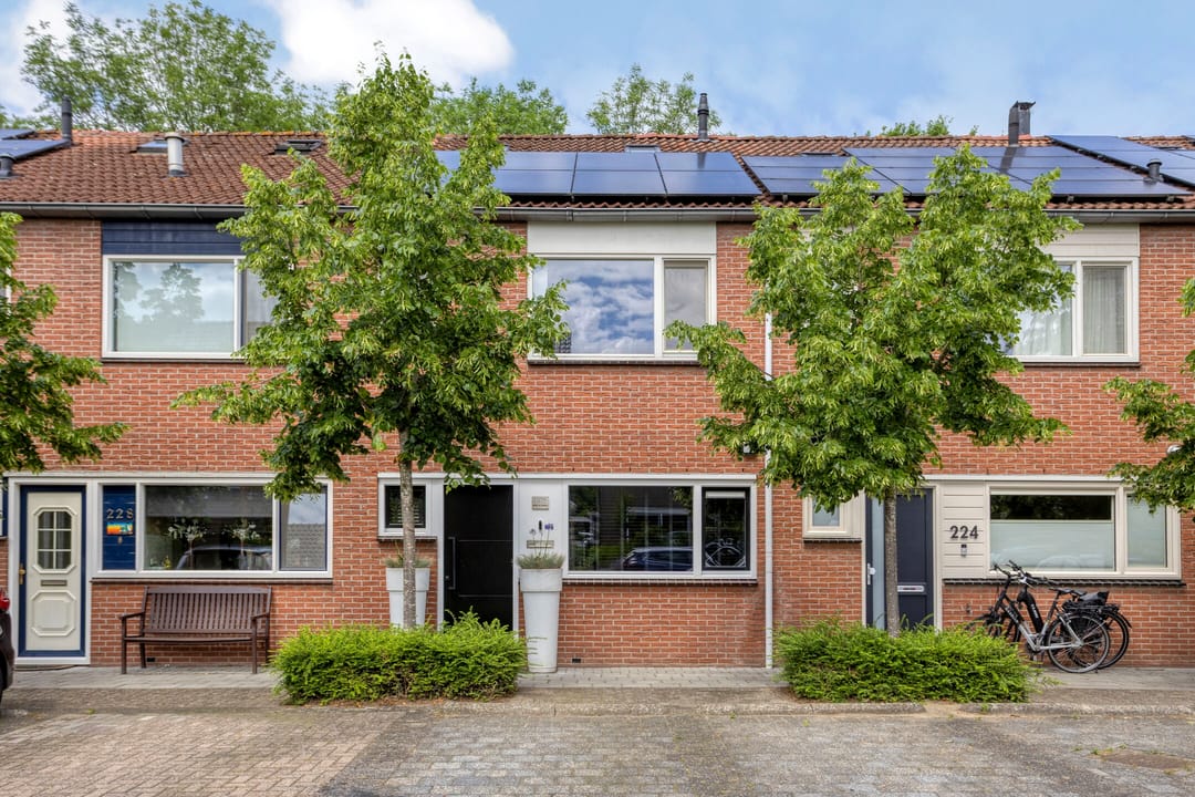Photo 1 of Zilverschoon 226