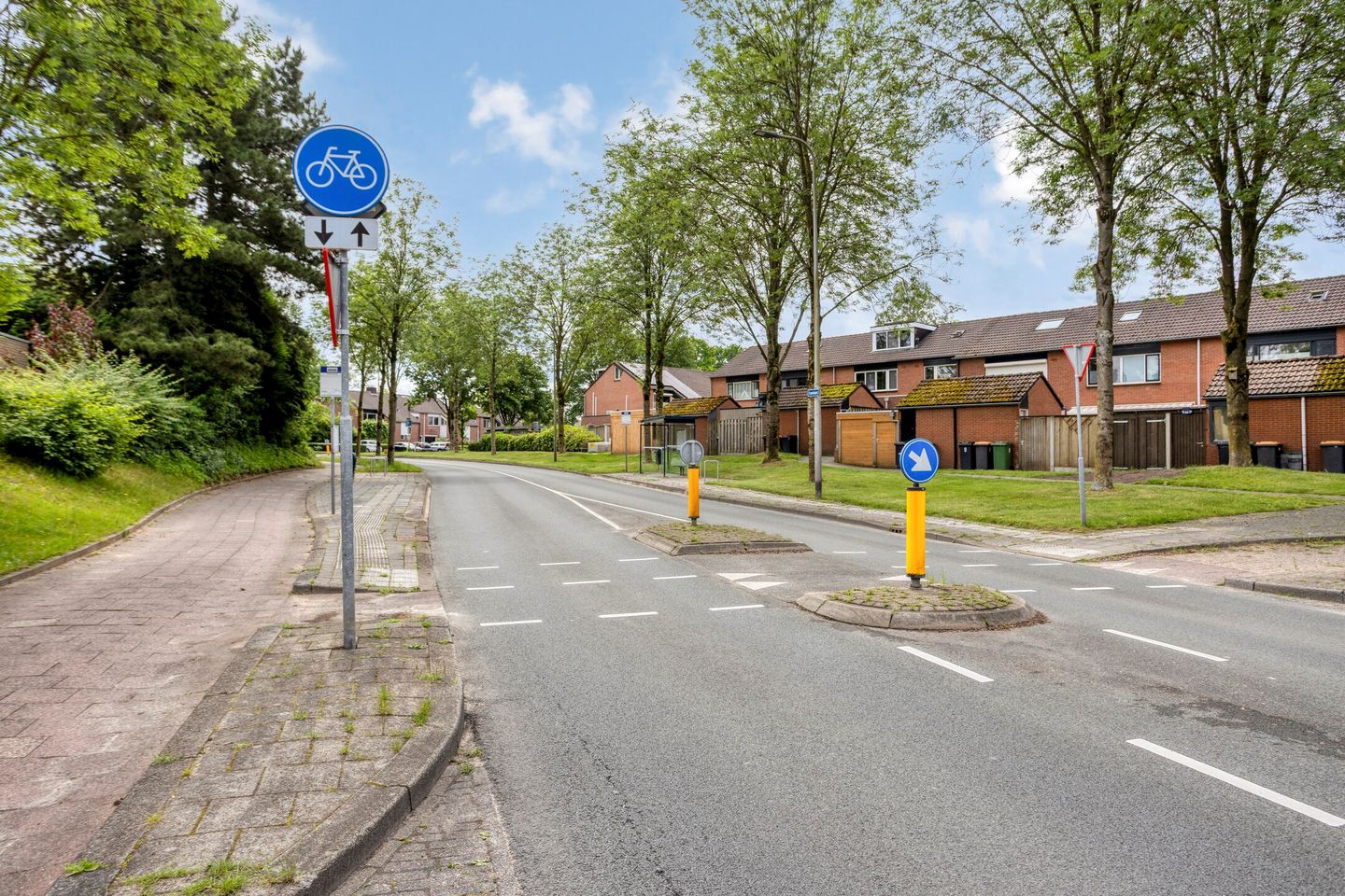 Photo 44 of Zilverschoon 226